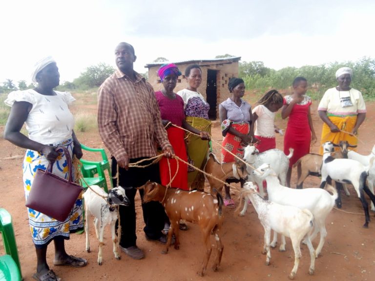 Goats Lending Project